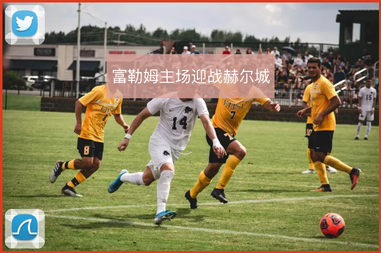 富勒姆主场迎战赫尔城