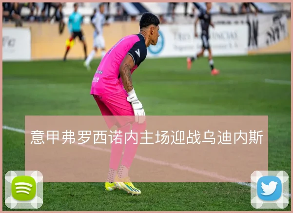 意甲弗罗西诺内主场迎战乌迪内斯