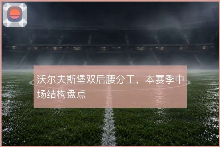 沃尔夫斯堡双后腰分工，本赛季中场结构盘点