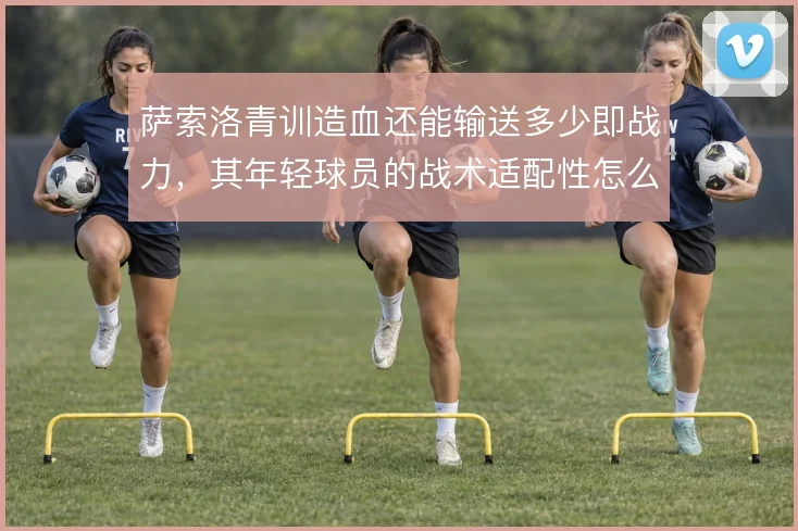 萨索洛青训造血还能输送多少即战力,其年轻球员的战术适配性怎么解