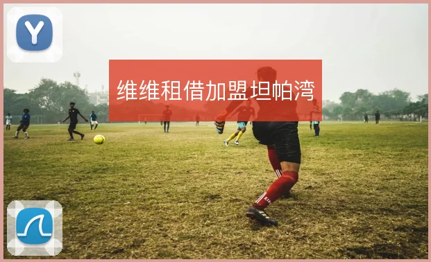维维租借加盟坦帕湾